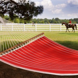 Quilted Hammock - Equestrian - Royal Red Stripe